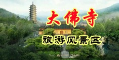 被大鸡吧草中国浙江-新昌大佛寺旅游风景区